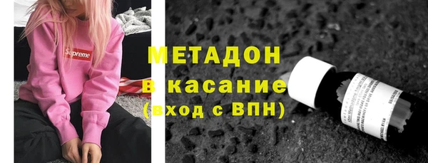 сатива Арсеньев