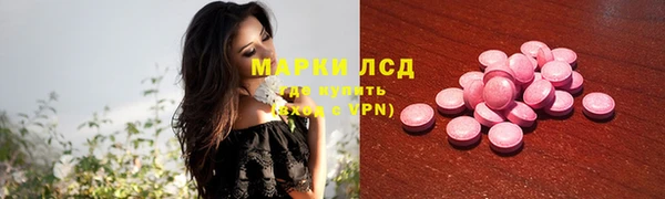 сатива Арсеньев
