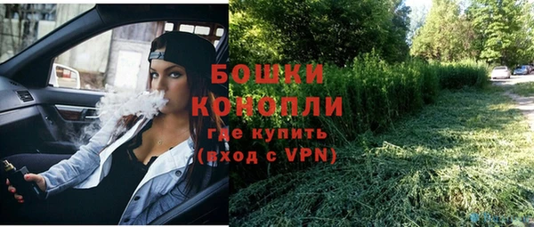 сатива Арсеньев