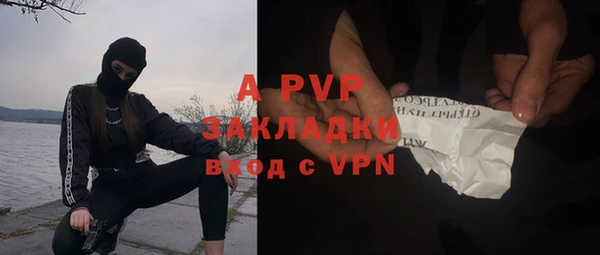 сатива Арсеньев