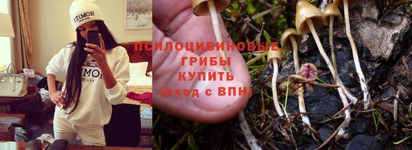 гидропоника Армянск