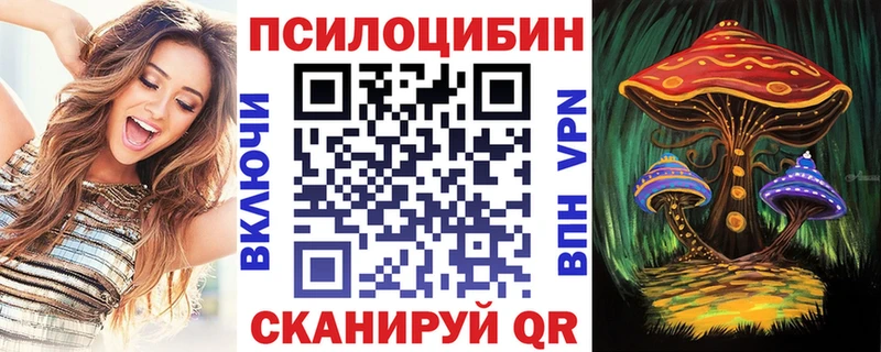 Псилоцибиновые грибы GOLDEN TEACHER  Саки 